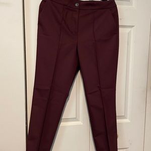 Express Stretch Ankle High Rise Pant